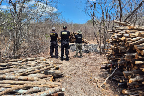 CRIMES AMBIENTAIS: OPERAÇÃO DA PF NA IBIAPABA FISCALIZA 36 ALVOS E RESULTA EM 22 AUTUAÇÕES